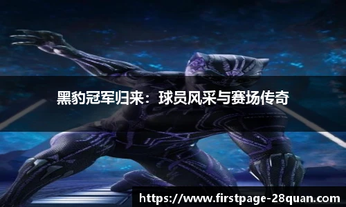 28圈游戏