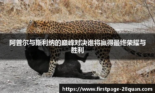 阿普尔与斯利纳的巅峰对决谁将赢得最终荣耀与胜利