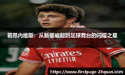 28圈游戏