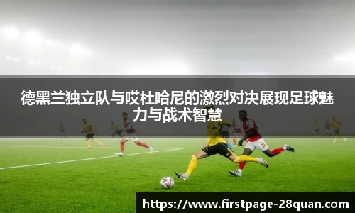 28圈娱乐